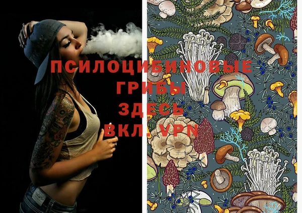 крисы Балабаново