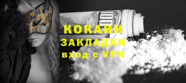 дживик Баксан