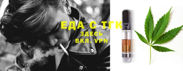 сатива Ельня