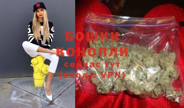 дживик Баксан