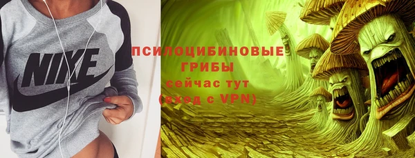 спайс Козловка