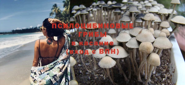 крисы Балабаново