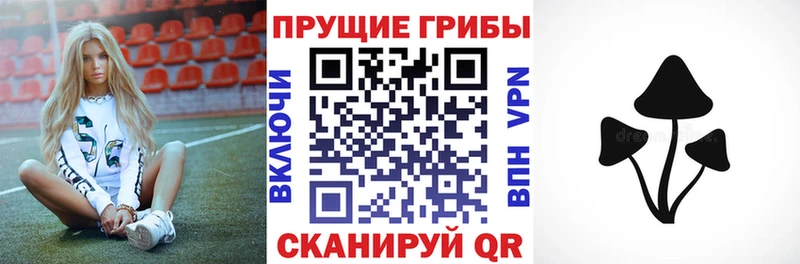 Галлюциногенные грибы Cubensis  Кунгур 