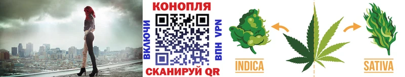 продажа наркотиков  Кунгур  Каннабис планчик 